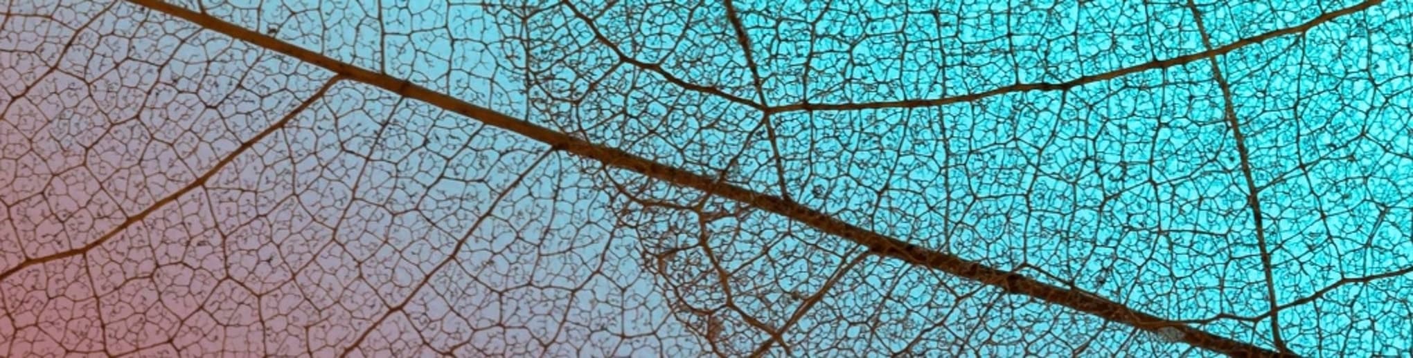 Bumeks Gear Industry